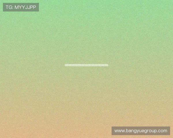 雨燕足球比赛直播平台打造全方位实时赛事观赛新体验精彩互动内容